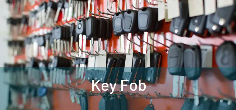  Key Fob 